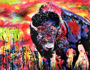 Bison