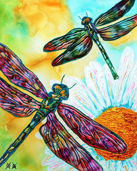 Dragonflies