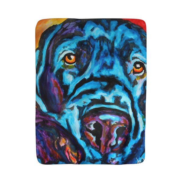 The Last Echo - Blanket