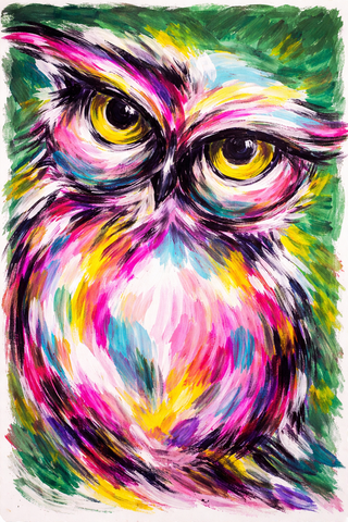 Paint Night: Owl
