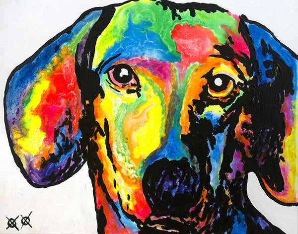 Dachshund