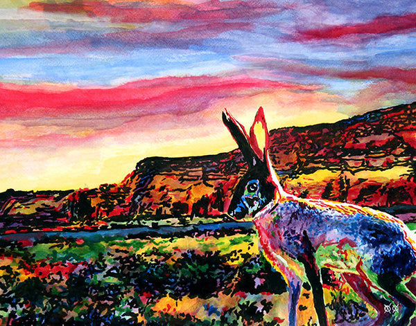 Jackrabbit